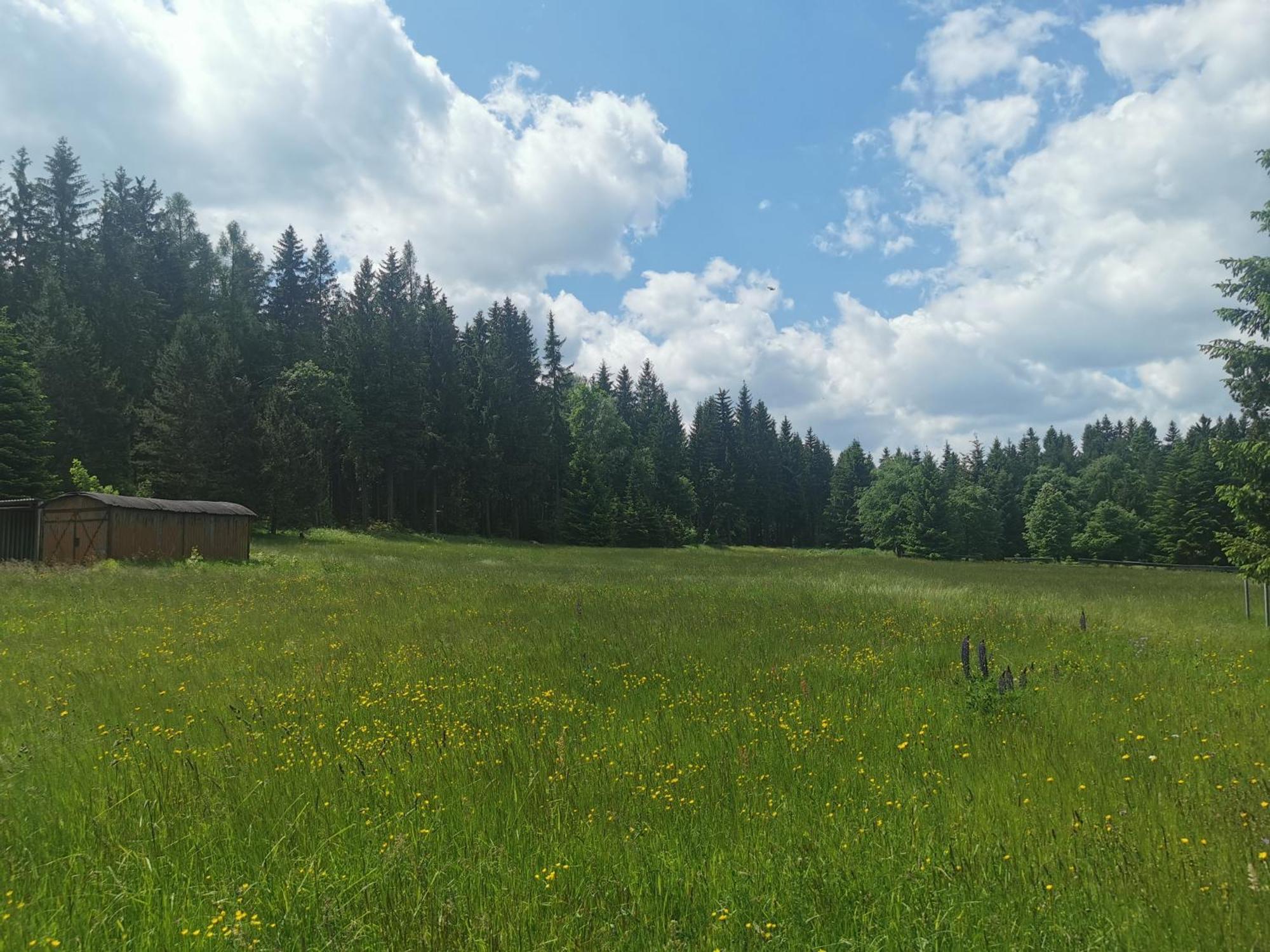 Berghaus Am Felsbruch Oberwiesenthal Ot Hammerunterwiesenthal Εξωτερικό φωτογραφία