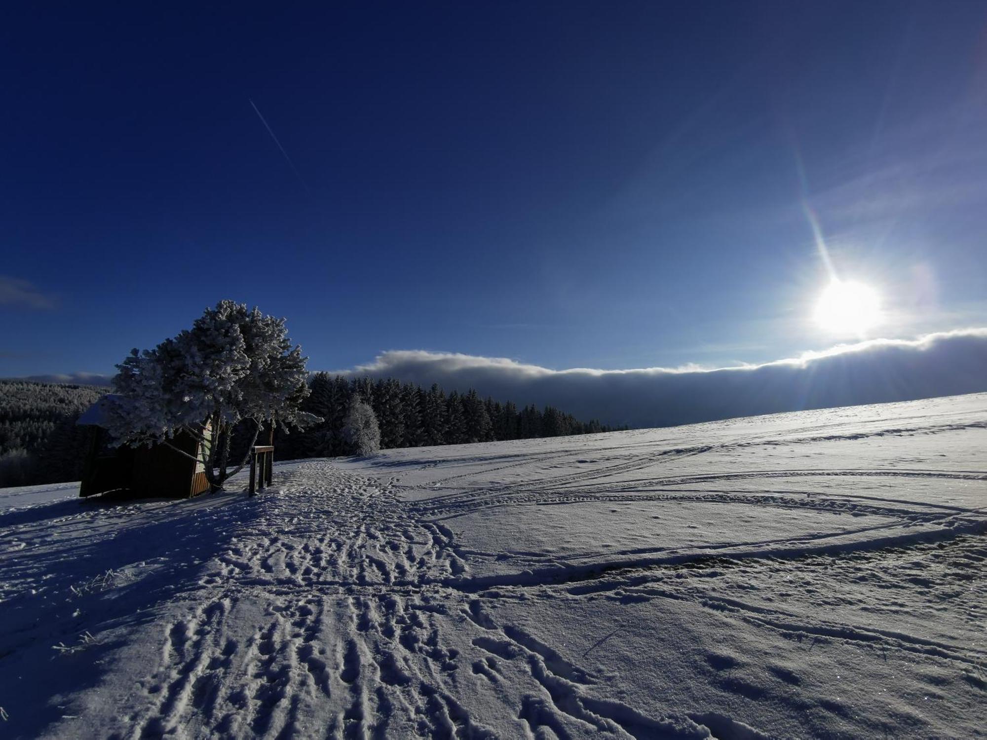 Berghaus Am Felsbruch Oberwiesenthal Ot Hammerunterwiesenthal Εξωτερικό φωτογραφία